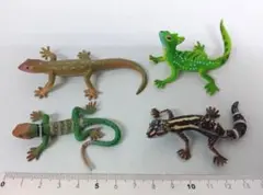 2025年最新】クロイワトカゲモドキの人気アイテム - メルカリ