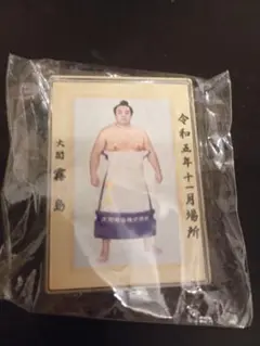 霧島【未開封】優勝額バッジ