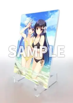 世界征服征服彼女　switch 限定版同梱　アクリルパネルのみ　新品未開封