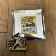 福岡ソフトバンクホークス山川穂高選手のグッズ2つ