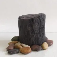 木化石 珪化木 約659g 鑑賞石 観賞石