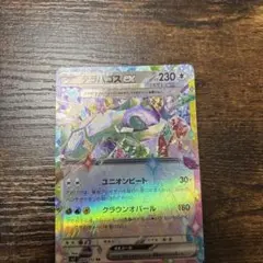 テラパゴスEX ポケモンカード
