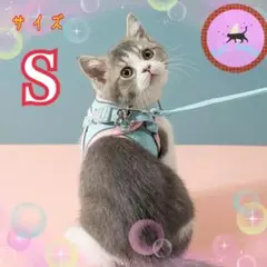 ハーネスリードSサイズ 水色×桃色 猫ちゃん ワンちゃんと安心してお散歩 ペット