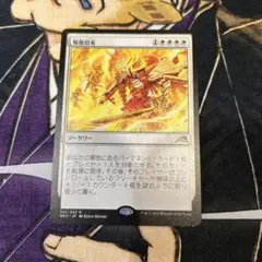 MTG / 報復招来