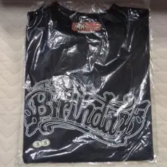 Item thumbnail for item 79f24d6e-6a40-4981-bdd7-2bcb2a1643f3