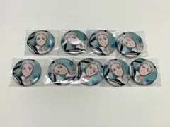 WIND BREAKER ウィンブレ エンスカイ ラメキラ 缶バッジ 梅宮