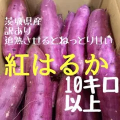 10㌔茨城紅はるかご家庭用S(2Sメインで通常Su00263S混載)u0026少し訳あり甘熟蜜芋