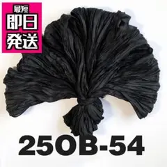 Item thumbnail for item ada6833d-ca20-48ce-9626-2c81e32b4c2e