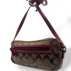 Item thumbnail for item 21002cf5-e6bf-4f00-9542-44868a0f7d27