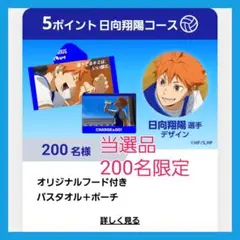 当選品　アクエリアス　ハイキュー　日向翔陽　フード付き　バスタオル　ポーチ