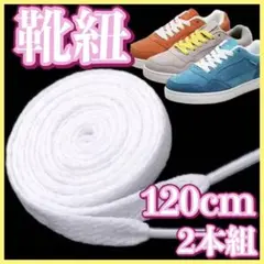 靴紐 白 スニーカー 120cm 平紐 NIKE adidas vansフラット
