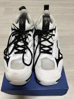 Item thumbnail for item a103da63-639a-4c14-9c1c-1c28487a521b