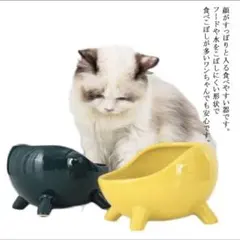 新春セール❣️猫 犬 陶器 フードボウル 餌入れ エサ入れ みどり グリーン