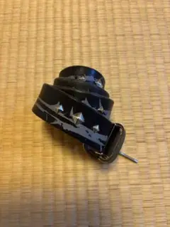 Item thumbnail for item e5c7e473-3544-4887-8db0-88f20416983f