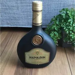 CAMUS NAPOLÉON & Armagnac Valois セット 2025年最新】ナポレオン valoisの人気アイテム - メルカリ