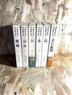 国立科学博物館図録 全6巻セット　お値下げ可能です＊