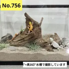 Item thumbnail for item eded8fc3-473b-496a-b3e6-4637d1560129