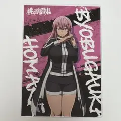 桃源暗鬼 屏風ヶ浦帆稀 アニメイト フェア ポストカード 特典