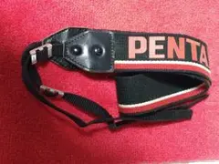 Item thumbnail for item b1c7f191-70c8-4879-b13b-46a881d214f2