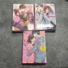 野いちご　3冊セット