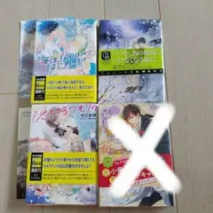 BL小説セット