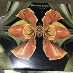 HUBERTLAWS 情熱の地