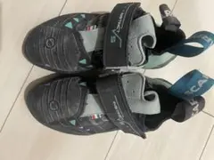 インスティンクトVS WMN SCARPA 36
