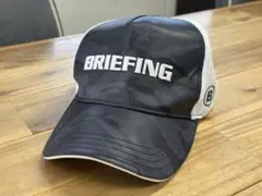 Item thumbnail for item 7a6e934c-62e1-4910-9987-1036d597b895