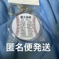 第107回全国高校野球選手権大会　健大高崎　メンバー入りキーホルダー