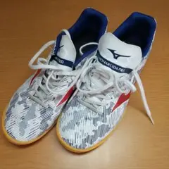 フットサルシューズ ミズノ モナルシーダ 24cm