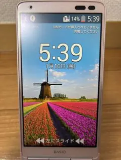 Item thumbnail for item 73bbdbb9-b415-4e92-866d-3995fe07cf75