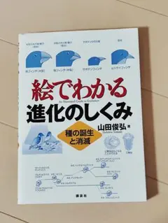 【未使用&美品】絵でわかる進化のしくみ