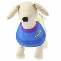 Item thumbnail for item 3f746ee6-aa7e-4017-810d-64e6fcfb5319