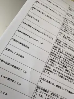 Item thumbnail for item a87e0a52-d914-49c8-9a81-f905cb89273d