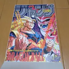 ドラゴンボール　ポスターコレクション 1995年WJ17号　1枚