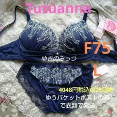 Item thumbnail for item 2e55c658-28a1-46dc-ad1e-68316cad6235