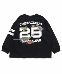 Item thumbnail for item 9233ed82-ea3b-4900-a9e8-372107ab829b