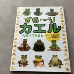 ずら～りカエルならべてみると…