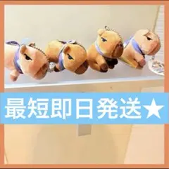 大人気★ 100円娯楽 ごらカピ プチぬいぐるみ　4点セット　コンプ