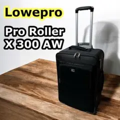 トキ Lowepro ECHELON ロープロ エシュロン ローラー 2025年最新】lowepro ローラーバッグの人気アイテム - メルカリ