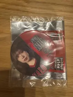 BsGravity 「Bring It On」カンバッジ NUI