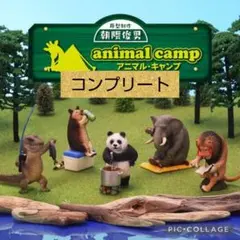 アニマルキャンプ　ガチャ　コンプリート