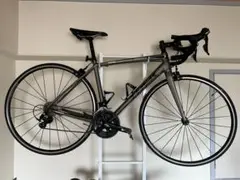 TREKエモンダ ALR5