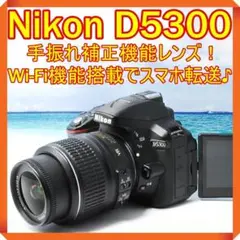 ❄WiFi搭載♪手振れ補正!❄ Nikon D5300 ニコン 一眼レフ カメラ