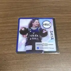 VELC SAYAマグネット