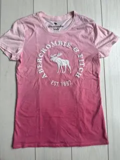 Abercrombie & Fitch グラデーションTシャツ 13/14