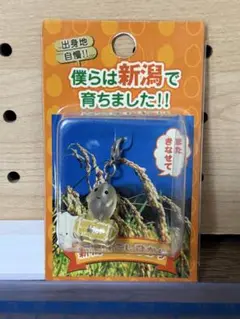 新潟　こしひかり　キャラクターチャーム