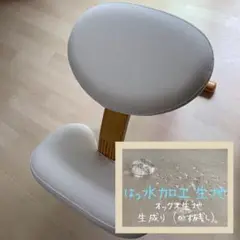 バランスイージーカバー　バランスチェアカバー　バランスラボ