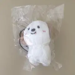 RIIZE アントン モンリョンイ 10cm ぬいぐるみ キーリング