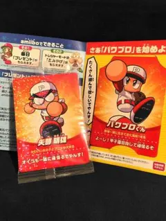 Switch♪パワプロ amiiboカード2枚セット
